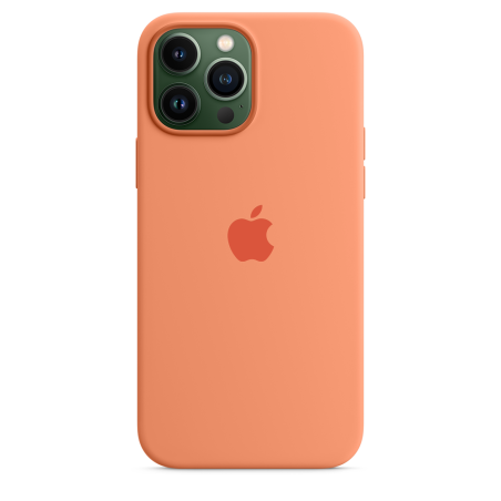 iPhone 13 Pro Max Silicone Case