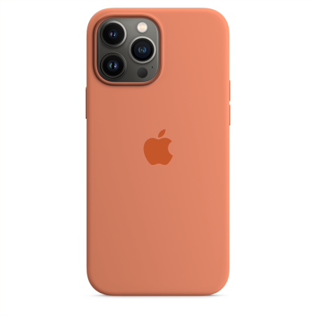 iPhone 13 Pro Max Silicone Case