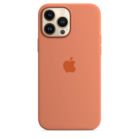 iPhone 13 Pro Max Silicone Case