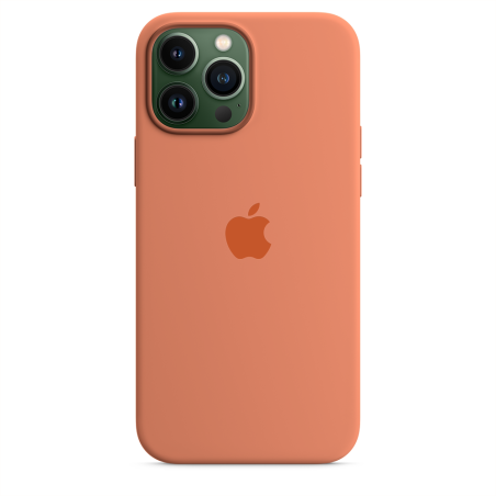 iPhone 13 Pro Max Silicone Case