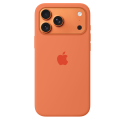 iPhone 17 Pro Max Silicone Case